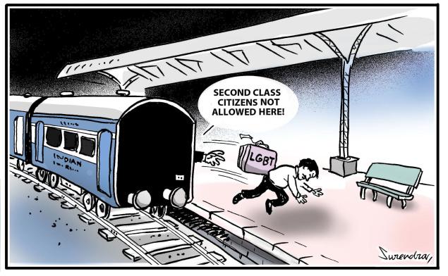 decoding gay behaviour